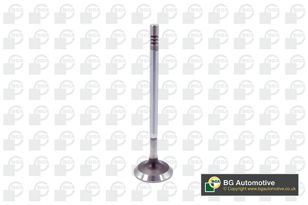 Intake Valve (V204954)