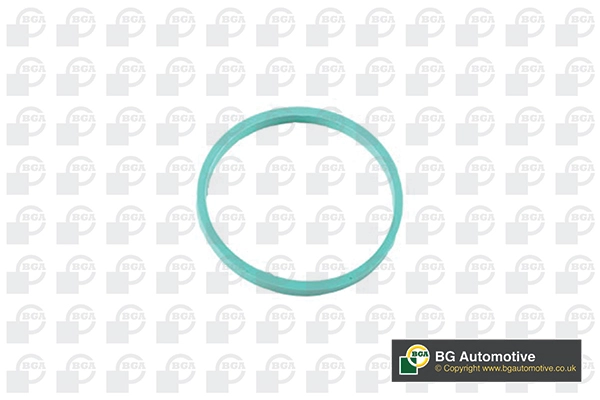 Gasket, intake manifold (RW4353)