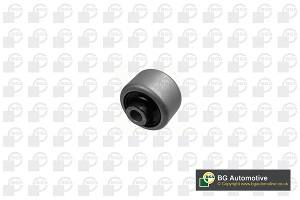 Mounting, control/trailing arm (BU2377)