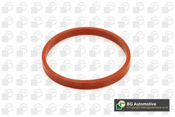 Gasket, intake manifold (MG0014)