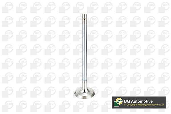 Exhaust Valve (V998717)