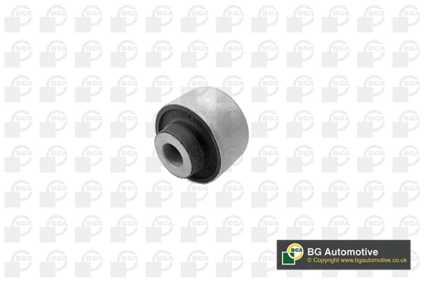 Mounting, control/trailing arm (BU6319)