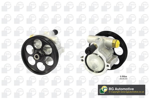 Hydraulic Pump, steering (PSP6305)