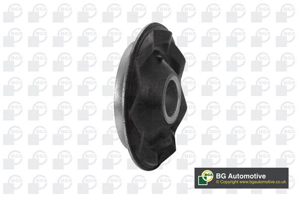 Mounting, control/trailing arm (BU2394)