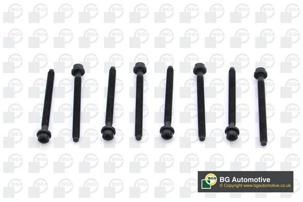 Cylinder Head Bolt Set (BK7900)