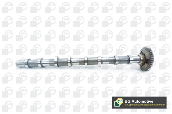Camshaft (CS0901)
