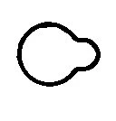 Gasket, intake manifold (MG5556)