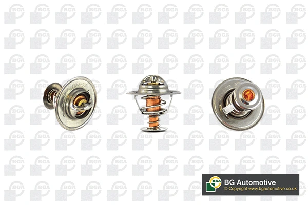 Thermostat, coolant (CT5273)