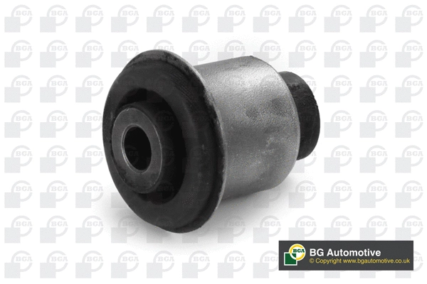 Mounting, control/trailing arm (BU2541)