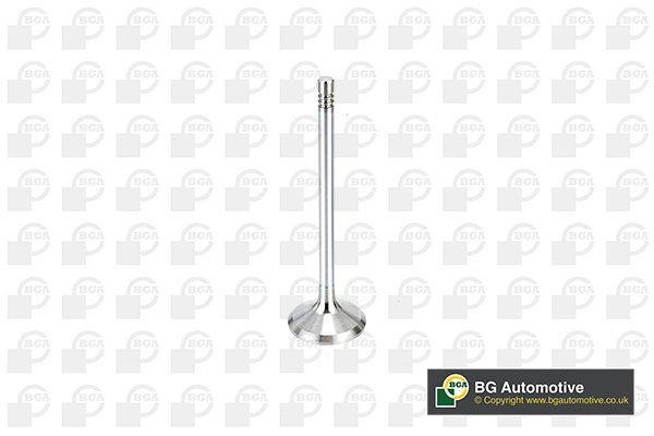 Intake Valve (V998912)