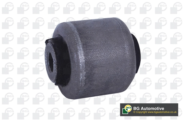 Mounting, control/trailing arm (BU0925)