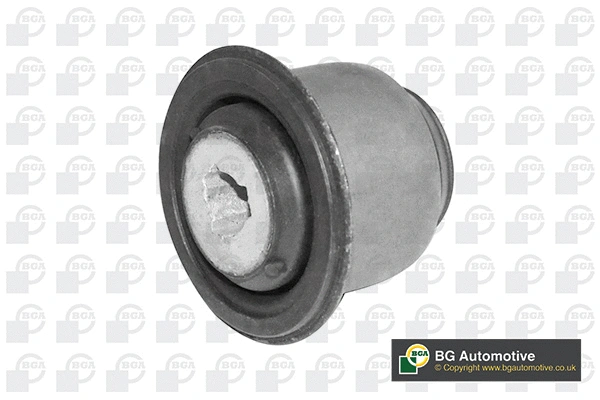 Mounting, control/trailing arm (BU6301)