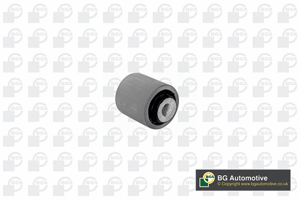 Mounting, control/trailing arm (BU0731)