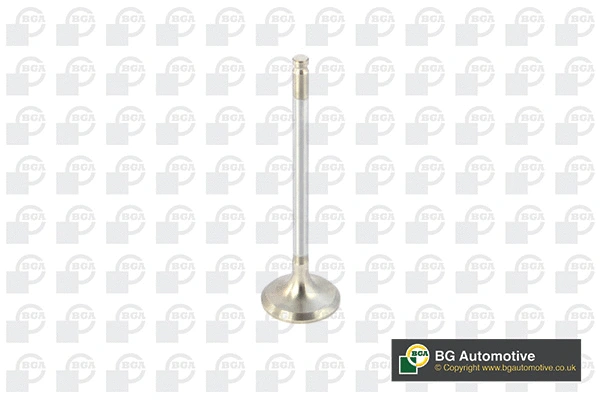 Exhaust Valve (V820011)