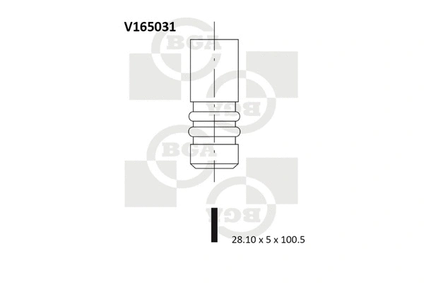 Exhaust Valve (V165031)