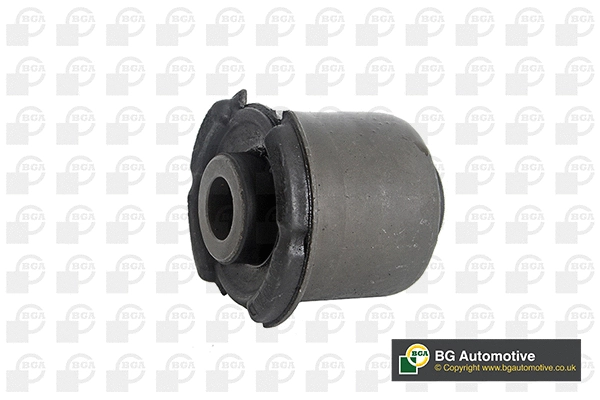Mounting, control/trailing arm (BU4234)