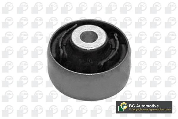 Mounting, control/trailing arm (BU9504)