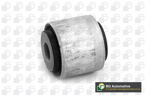 Mounting, control/trailing arm (BU0462)