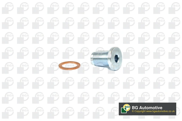 Screw Plug, oil sump (PK2201)