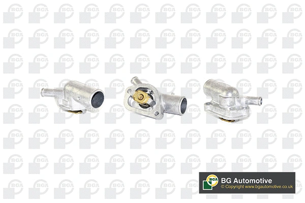 Thermostat, coolant (CT5199)