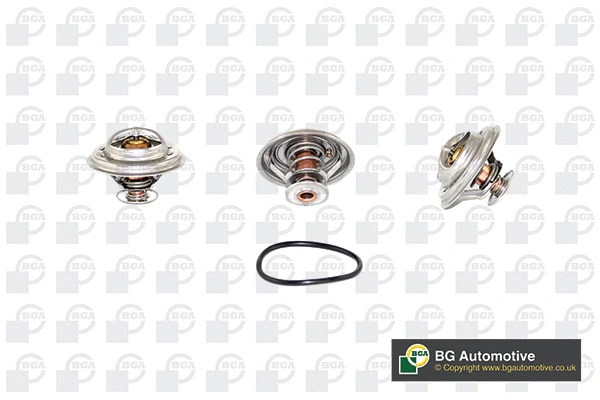 Thermostat, coolant (CT5294)