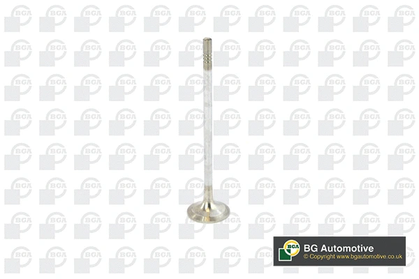 Exhaust Valve (V016840)