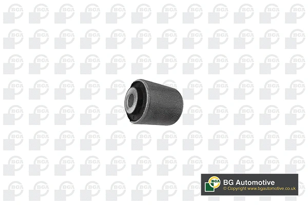 Mounting, control/trailing arm (BU0136)