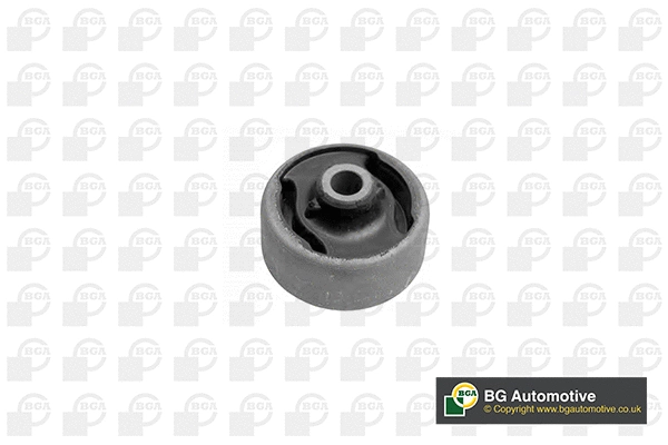 Mounting, control/trailing arm (BU2349)