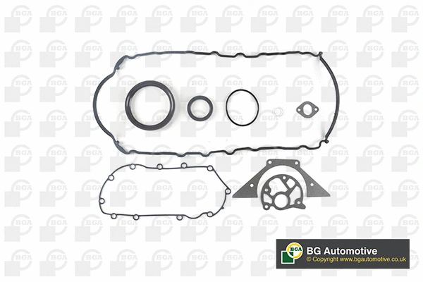Gasket Kit, crankcase (CK1317)