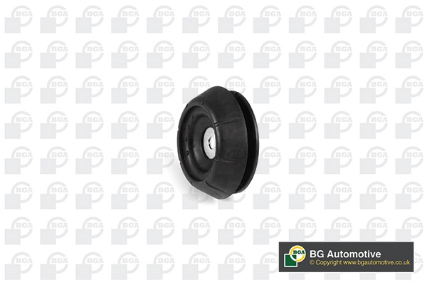 Repair Kit, suspension strut support mount (SM95004)