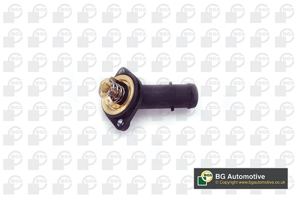 Thermostat, coolant (CT0134)