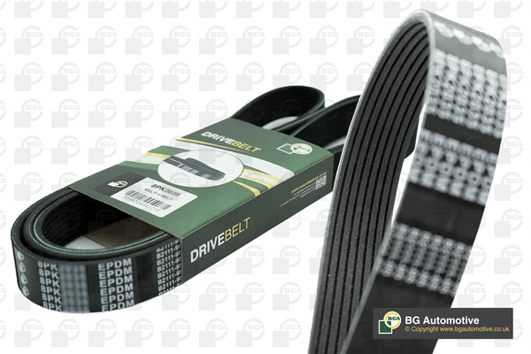 V-Ribbed Belt (8PK1310)