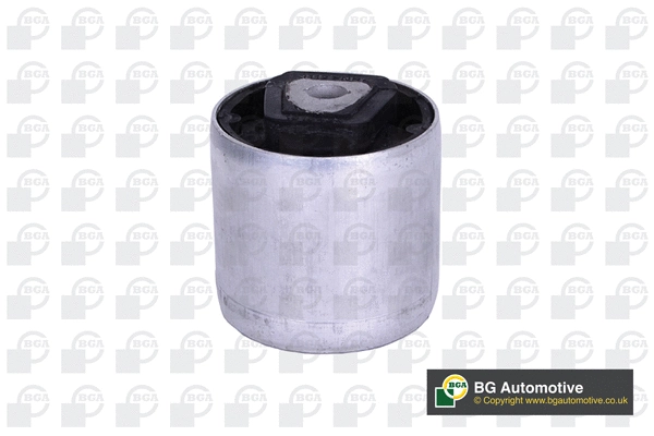Mounting, control/trailing arm (BU0927)