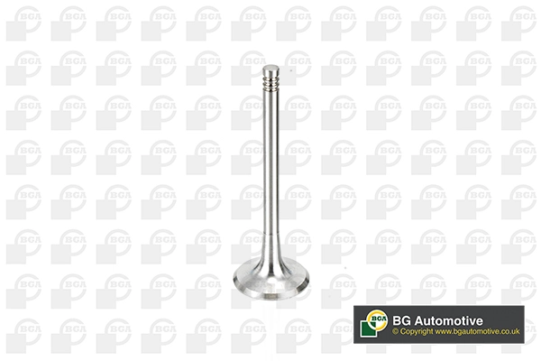 Intake Valve (V163720)