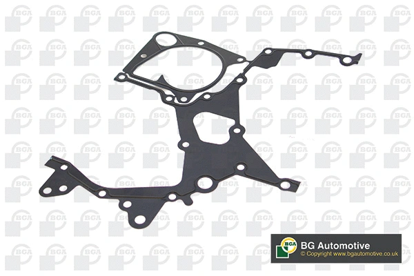 Gasket, timing case (AH2045)