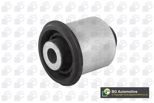 Mounting, control/trailing arm (BU0451)