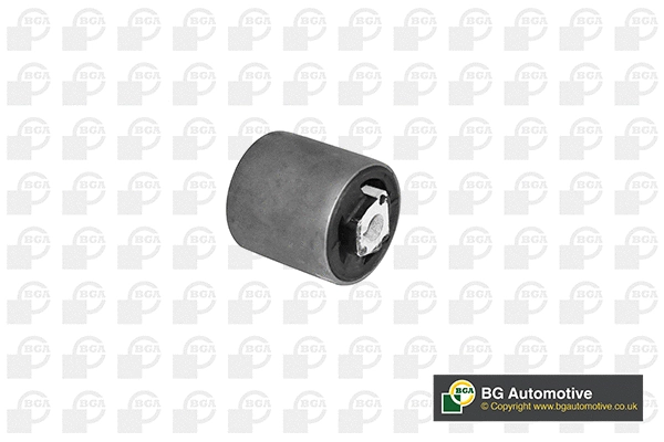 Mounting, control/trailing arm (BU0923)