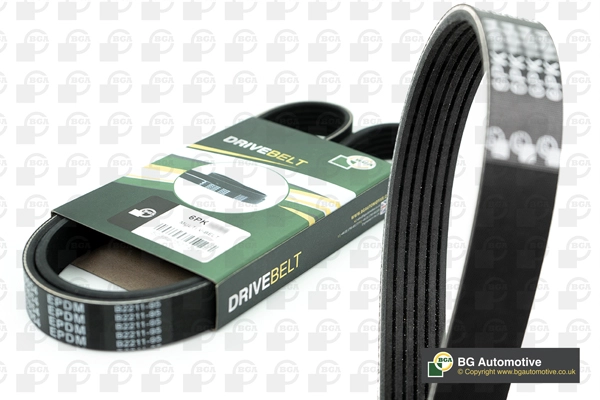 V-Ribbed Belt (6PK869)