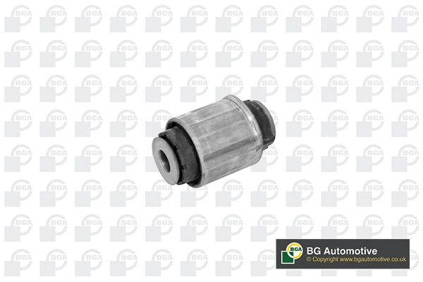 Mounting, control/trailing arm (BU4258)
