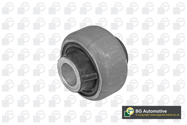Mounting, control/trailing arm (BU1479)