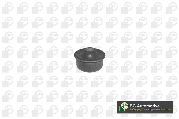 Mounting, control/trailing arm (BU2348)