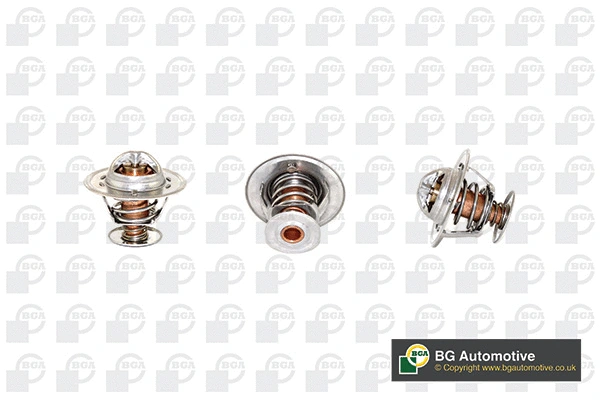 Thermostat, coolant (CT5528)