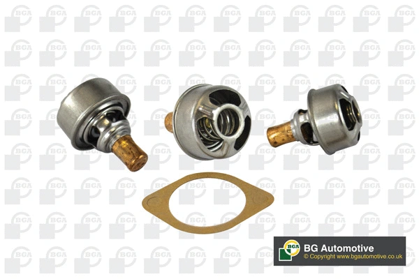 Thermostat, coolant (CT5439K)