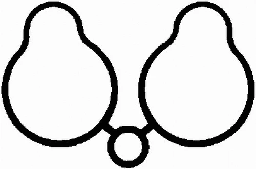 Gasket, intake manifold (MG3540)