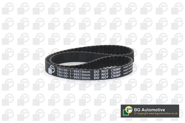 Timing Belt (TB6100-1)