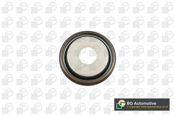 Shaft Seal, crankshaft (OS8300)