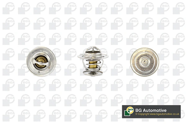 Thermostat, coolant (CT5484)