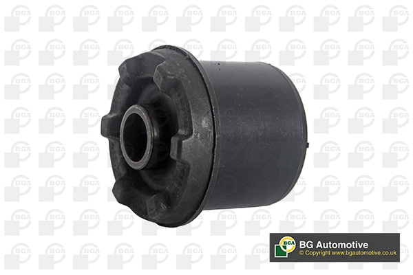 Mounting, control/trailing arm (BU4212)