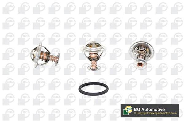 Thermostat, coolant (CT5579)