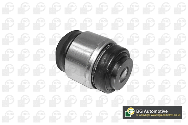 Mounting, control/trailing arm (BU4238)